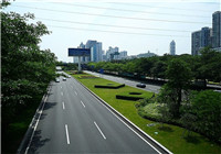 (广西来宾市)柳南高速公路两侧绿化景观工程