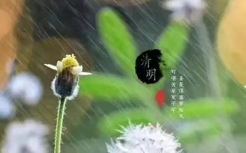 清明节的由来和习俗